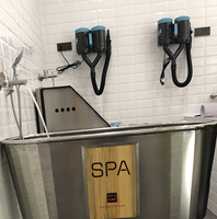 Séchoir à double moteur parallèle à grande force de soufflage pour salon d'animaux de compagnie Fourniture en usine Garantie de qualité Séchoir de toilettage pour animaux de compagnie