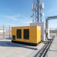 Groupe électrogène diesel silencieux triphasé certifié Euro3 de 175KW, 180KW, 185KW, 190KW, 195KW, 200KW, 250KVA pour l'alimentation électrique des mines africaines