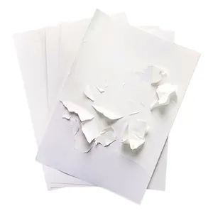 Feuilles de taille personnalisée vinyle destructible adhésif A3 A4 A5 A6 papier autocollant imprimable jet d'encre coquille d'oeuf pour imprimante à jet d'encre