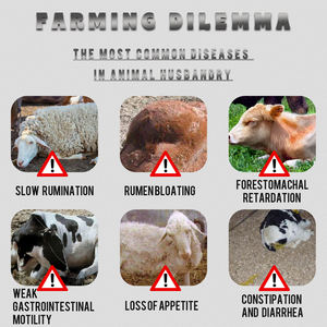 Rumen Motility pendorong nafsu makan untuk ternak dan domba kesehatan usus untuk ternak dan domba - Product Image 2