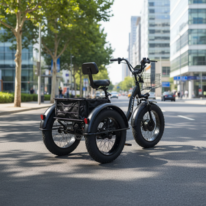 <span class=keywords><strong>Prix</strong></span> Spécial 2026 Tricycle Électrique Pliant en Acier 48V 500W Puissant avec Panier Arrière, Carrosserie Ouverte, Passager, 24 Pouces, Certifié DOT EEC - Product Image 4