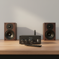 100W*2 Kablosuz 5.0 HIFI Güçlü Ev Amfisi 2.0 Kanal Ses Stereo Ekolayzırlı Amfi Alıcısı OEM Marka Özel Kalıp CN/GUA