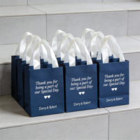 Sacs cadeaux en papier personnalisés FB29 avec poignées en satin, sacs de faveur personnalisés pour la fête nuptiale et les fiançailles