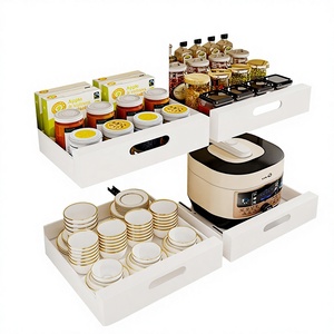 Étagère de rangement pour épices en acier au carbone à installation rapide, panier de placard moderne sans perçage, anti-corrosion, résistant à la rouille, pour tiroir de cuisine - Product Image 1