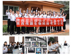 ผงเปปไทด์ถั่วลิสง100% เปปไทด์ถั่วลิสงสกัดจากถั่วลิสงอินทรีย์ - Product Image 5