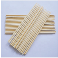 Brochettes longues et rondes en bambou pour barbecue extérieur et cuisson au four – Kits d'outils pour fêtes, emballées en sac – Brochettes de barbecue