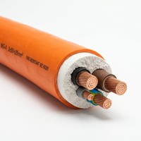 Kabel Daya Tahan Api Berisolasi Mineral Fleksibel NG-A Tembaga Inti 3+1 0.6/1kV untuk Sistem Distribusi Daya