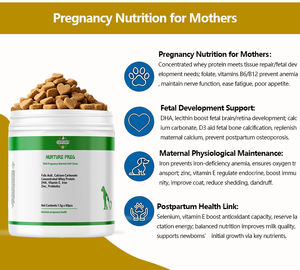 OEM ODM hewan peliharaan Premium DHA nutrisi kehamilan kunyah lembut dengan asam folat Grain-Free suplemen organik untuk ibu janin anjing/kucing - Product Image 3