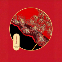 Parasol de Mariage Rouge Style Chinois à Long Manche en Alliage, 8 Baleines, Manuel, Protection UV 190T, Parapluie Droit