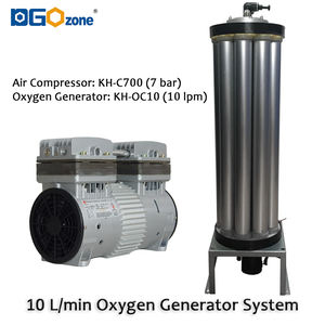 DGOzone 5 litri PSA generatore di ossigeno sistema 5l/min concentratore di ossigeno con compressore d'aria - Product Image 5