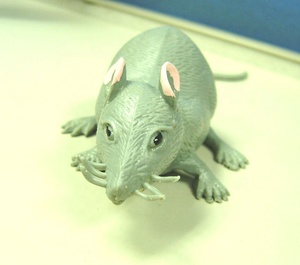 Giocattoli Morbidi in TPE e Plastica a Forma di Animali, Squishy Elastici di Halloween (Ratto, Pipistrello, Ragno) per Bambine <span class=keywords><strong>4</strong></span>-6 Anni, Decorazioni per Feste - Product Image 2