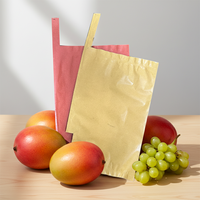 Groothandel Eco-vriendelijke Aseptische Bruine Kraft Papier Fruitbeschermings- en Groeizakken Dubbellaags Waterdicht Waskoating Aanpasbaar