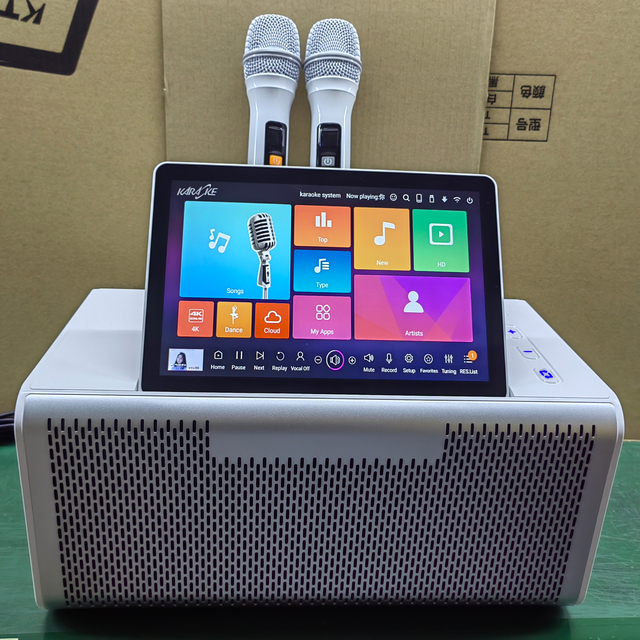 Professional Android oke System UHF Wireless Microphone 100W Audio 500K+ Songs-Wireless Touch Screen Sound Equipment