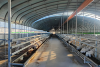 Bâtiment Agricole Préfabriqué en Structure Acier, Étable à Vaches, Porcherie, Abri pour Moutons/Bovins/Laitiers/Chèvres, Hangar Agricole, Design Moderne, Garantie 1 An