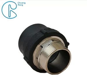 HDPE ổ cắm <span class=keywords><strong>Fusion</strong></span> phụ kiện nam ren <span class=keywords><strong>Adapter</strong></span> nam <span class=keywords><strong>Adapter</strong></span> HDPE - Product Image 5