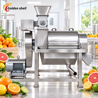 Machine de traitement de jus de légumes carotte-gingembre, broyeur de fruits, extracteur commercial