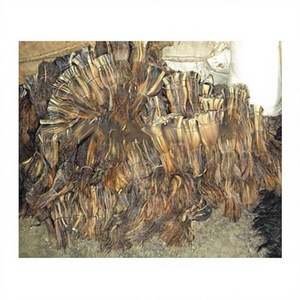 Venta al por Mayor de Pinceles de Maquillaje B.S INTERNATIONAL de Pelo Natural de Cola de Caballo, en Paquetes, con 3 Años de Duración, Pintura No Soluble en Agua - Product Image 1