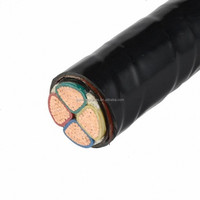 Cable de alimentación de baja tensión de cobre PVC HENAN GUOWANG VAV 600V 1000V 3X35MM 1X16MM 3X95MM 1X50MM2, retardante de llama IEC para estaciones de energía