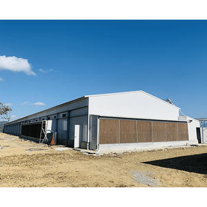 Kandang Ayam Desain Modern untuk Peternakan Unggas Memberikan Lingkungan Pembiakan yang Lebih Aman dan Stabil - Product Image 3