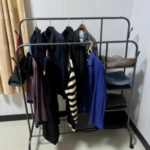 Appendiabiti Moderno Autoportante con Ruote, Struttura in Acciaio Inossidabile, Portatile e Mobile per Uso Alberghiero, con Ripiani per Piccoli Oggetti - Product Image 4