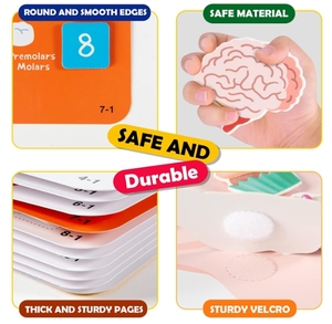 Livre d'activités HC Busy Book pour enfants, anatomie du <span class=keywords><strong>corps</strong></span> <span class=keywords><strong>humain</strong></span>, livre d'images coloré, activités d'apprentissage pour la maternelle, jouets sensoriels pour l'autisme, éducation précoce - Product Image 3