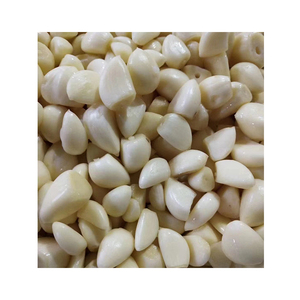 <span class=keywords><strong>Gousse</strong></span> <span class=keywords><strong>d</strong></span>'<span class=keywords><strong>ail</strong></span> fraîche pelée 1KG Sac sous vide <span class=keywords><strong>Prix</strong></span> ​​bas Vente en gros <span class=keywords><strong>d</strong></span>'<span class=keywords><strong>ail</strong></span> pelé à vendre - Product Image 1