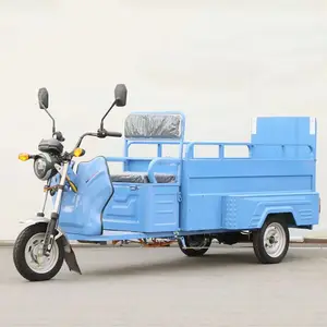 Hete Verkoop Goedkope E-Trikes 3-wielige Lading Elektrische Driewielers Motorfiets Volwassen Elektrische Driewieler Scooter 48V 600W Motor