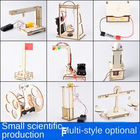 Juego de Juguetes Educativos de Ciencia y Tecnología para Niños, Inventos Pequeños de Madera, Experimentos Científicos STEAM, Rompecabezas DIY, Robot Hecho a Mano, Animales