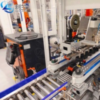 Emballageur automatique robotisé Lilan pour cartons de boissons, bouteilles, canettes, huile, plastique, emballageur de cartons à haute précision avec pince robotisée