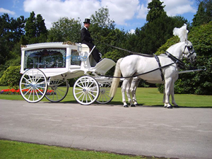 Carro Fúnebre de Estilo Europeo, Vehículo Fúnebre Clásico, Especialmente Diseñado para Transportar Ataúdes - Product Image 6