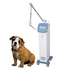 CL40 2022 High quality veterinary laser clinic/ pet hospital use co2 laser machine