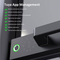 Cerradura de puerta de vidrio sin marco de oficina inteligente, cerradura inteligente Tuya Wi-Fi con manija para puerta de vidrio de partición