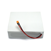Fournisseur en gros de batteries LiFePO4 LFP au phosphate de fer et de lithium 12,8 V 20 Ah pour voiture RC, robot, OEM personnalisé avec BMS