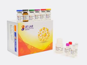 Kit ELISA pour la détection de l'anticorps <span class=keywords><strong>IgG</strong></span> du papillomavirus humain (HPV-<span class=keywords><strong>IgG</strong></span>), ED0221Hu - Product Image 5