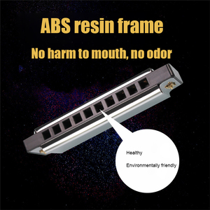 Starway Venta al por mayor Bruce 10 Hole Harmonica C Key Armonica Introducción para principiantes a jugar para niños - Product Image 4