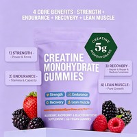 Gummies de créatine monohydrate véganes et sans sucre pour la force, l'endurance, la récupération et la masse musculaire maigre – OEM/ODM, logo personnalisé