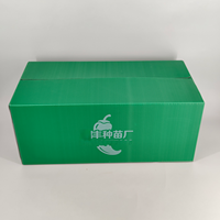 Caisse à poivrons ventilée GreenTree en PP recyclable et écologique, en panneaux alvéolés, pour la logistique des récoltes agricoles et des légumes