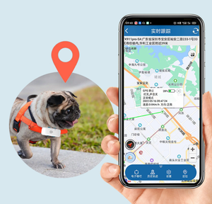 Localizador de mascotas DF XM C032-CAT 1, 700 mAh, 4G, resistente al agua, GPS, rastreador de perros y mascotas, con geolocalización y alarma. - Product Image 1