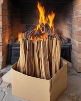 Bâtons allume-feu en bois gras pour camping Barbecue d'extérieur Bâtons en bois de pin en résine naturelle Tinder