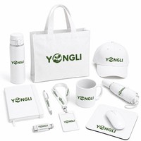 Ensemble Cadeau d'Entreprise Personnalisé avec Logo en Gros – Kit Promotionnel Premium pour Salons Professionnels et Événements Clients