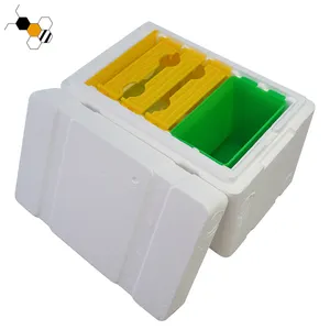 100% PP plastica corflute nuc box plastica mini accoppiamento nuc