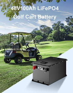High Quality Golf Battery 48V Pack 24V 36V 72V 200AH 300Ah 48v Lithium Cart - Product Image 3