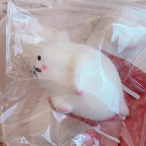 CHENXI Juguetes Blandos de Foca de Simulación Mochi, Juguetes Sensoriales de Animales Marinos Súper Suaves de Levantamiento Lento para Niños y Adultos - Product Image 3