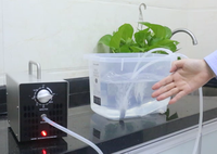 Digitale watermachine Watersterilisator Waterbehandelingsapparatuur Thuis Ozon Waterzuiveraar Draagbare 5g Water Ozongenerator