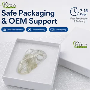 Modelo de Dientes de Conejo para Odontología, Modelo de Estudio de Ortodoncia con Dientes Removibles, Herramienta de Demostración para Entrenamiento Veterinario en Odontología - Product Image 2