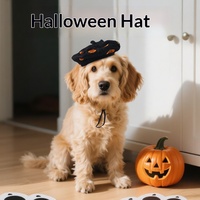 Chapeaux de pirate Halloween 2026 en forme de citrouille, couvre-chefs de dessin animé en polyester, accessoires et décorations créatifs pour animaux de compagnie
