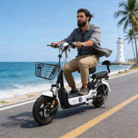 Bicicleta Eléctrica Urbana de Alta Calidad para Adultos, Pequeña, 2 Asientos, 3 Velocidades, Sensor Digital Electrónico, Bicicleta de Carretera en Venta