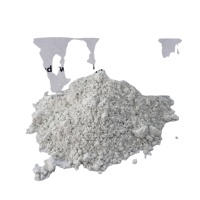 Ciment Portland Blanc Haute Blancheur 52.5 Faible Alcalinité pour Mur Rideau Terrazzo UHPC Matériaux de Construction Décoratifs
