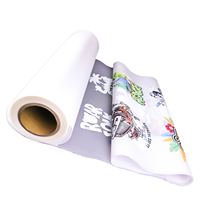 Film de transfert DTF imprimable à chaud, double couchage mat, pour imprimante DTF, rouleau de 30cm, 33cm, 60cm, 80cm x 100m, pour vêtements