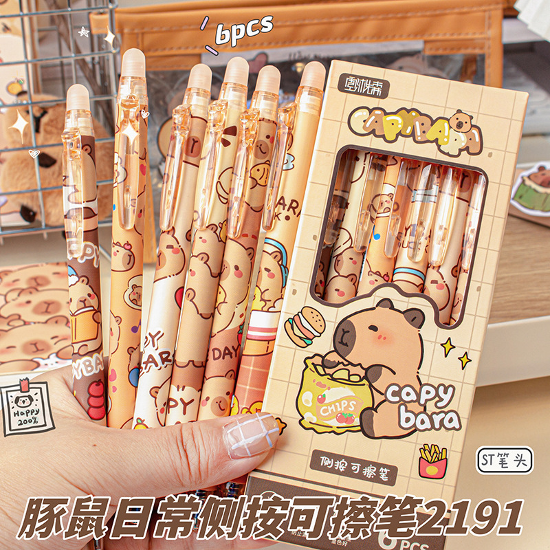Stylo effaçable quotidiennement pour cochon d'Inde 2191, 05 mm